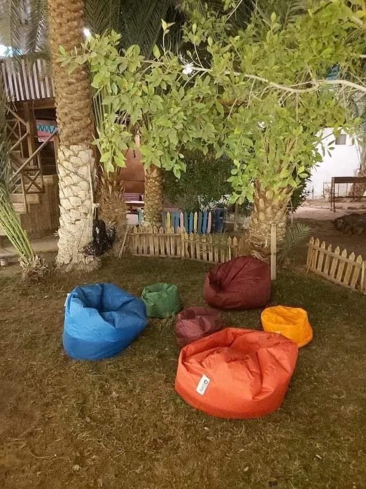 جولدن ستار كامب